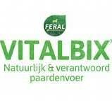 Vitalbix