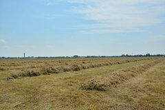 Ruwvoer(mixen) en brokken