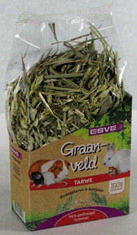 ESVE Graanveld 