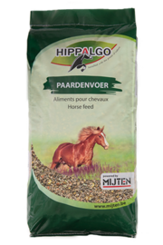 Mijten Hippalgo Merrie &amp; Veulenmix