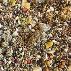 Hareco Agapornis Select zonder pellets