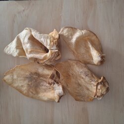 Carlos Runder Oren zonder pit