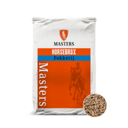 Masters Veulen