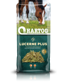 Hartog Lucerne Plus