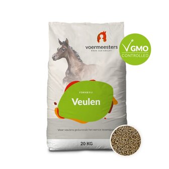 Voermeesters Veulen