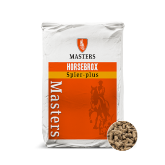 Masters Spie-plus