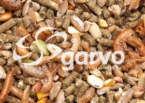 Garvo 1080 Alfamix kuikens