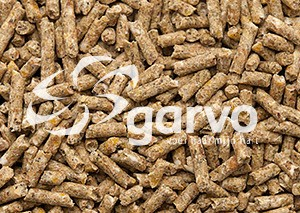 Garvo 5012 Kuiken opfokkorrel (2 mm)