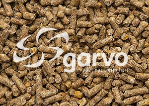 Garvo 702 ras Kuikenkorrel (2mm)