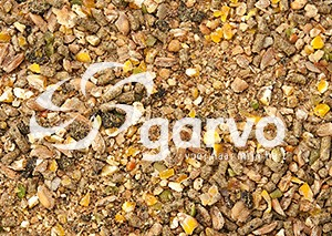 Garvo 1075 Alfastart piepkuiken
