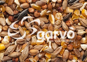 Garvo 704 ras gemengd graan speciaal