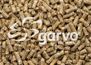 Garvo 718 ras krielen foktoomkorrel