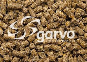 Garvo 723 ras jonge hanenkorrel