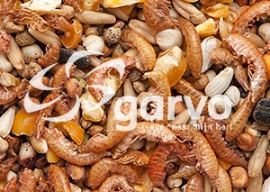 Garvo 107020 Kippensnoep