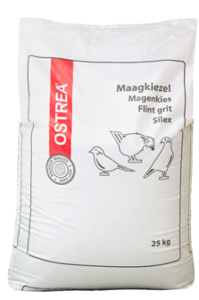 4210 maagkiezel grof