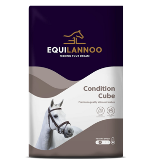 Condition Cube
