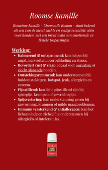 E-Book Introductie tot essenti&euml;le oli&euml;n bij honden 