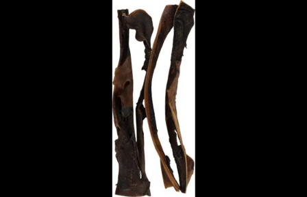 Carlos kameelkophuid 40 cm