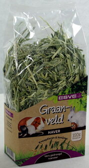 ESVE Graanveld 