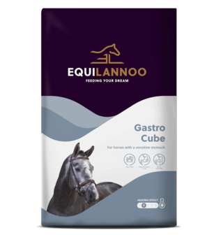 Equilanoo Gastro Cube