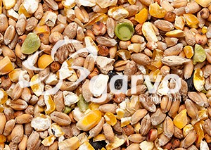 Garvo 4133 Scharrelgraan ( zonder gerst)