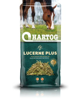 Hartog Lucerne Plus