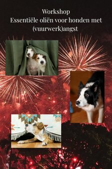Workshop vuurwerkangst bij honden