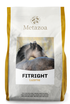 Metazoa balancefit Luzerne