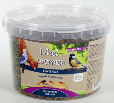Meelwormen