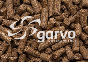 Garvo 480 Swienenbrok extra