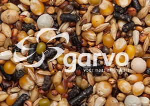 Garvo 3864 Solution