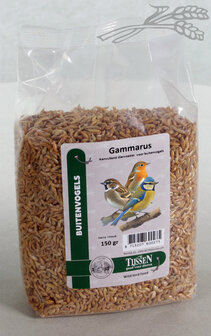Tijssen Gammarus