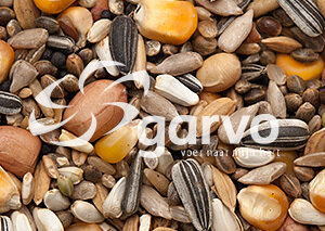Garvo 4000 HE 4000
