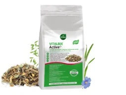 Vitalbix Active+ 