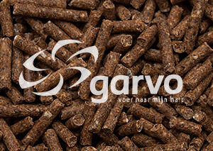 Garvo 5085 Dwerggeiten- &amp; Bokkenkorrels 3 mm
