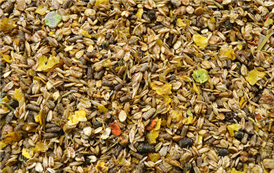 Mijten HIppalgo Herba-mix