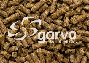 Garvo 714 ras jonge hennenkorrel