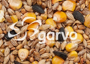 Garvo 5151 gemengd graan + zonnepit