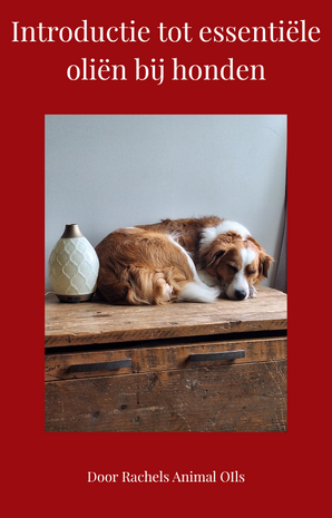 E-Book Introductie tot essentiële oliën bij honden 