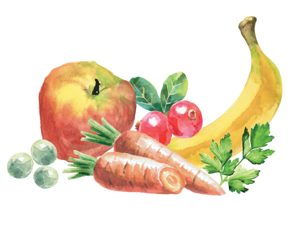 Kivo Kip & Pens glutenvrij ( moeilijke eter )
