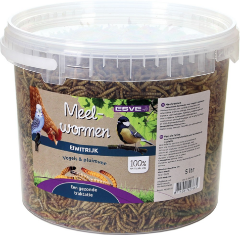 Meelwormen