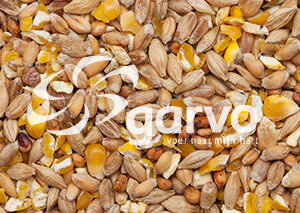 Garvo  5141 gem. graan + gebr. mais