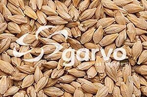 Garvo 5311 Duivengerst