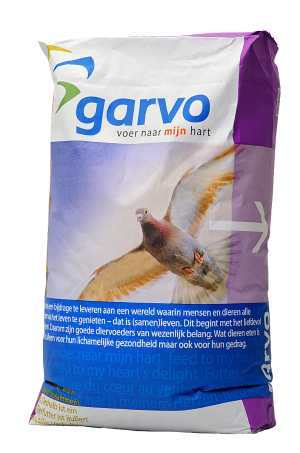 Garvo 1810 Rui/Rust
