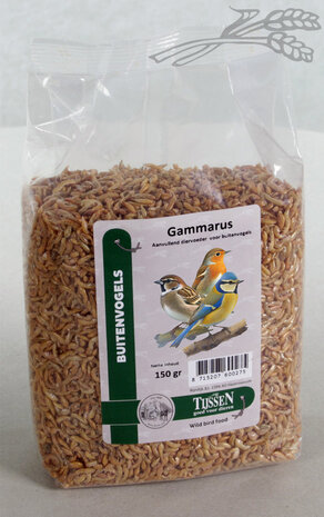 Tijssen Gammarus