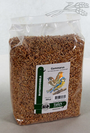 Tijssen Gammarus
