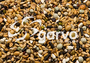 Garvo 3862 Solution 2
