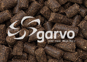 Garvo 235 Fyto Dog