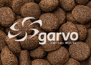 Garvo 5630 Rangers CR Hondenbrok