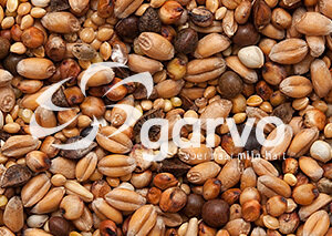 Garvo 5426 Tortelduivenvoer